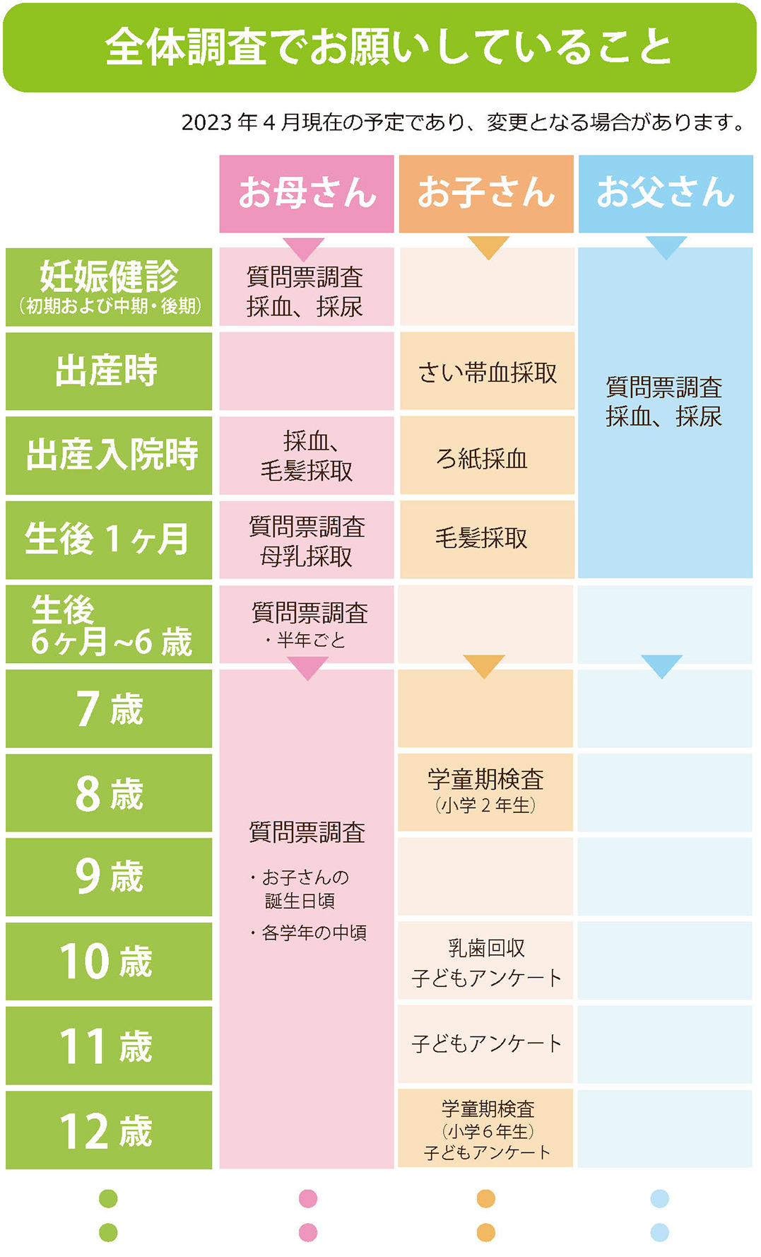 エコチル お願いすること 調査